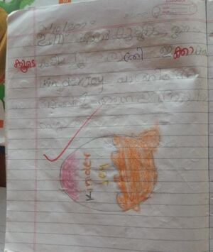 15445-WYD-KUNJ-MUHAMMAD SHAMIL.jpg