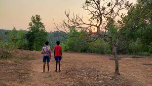 19058 First Shot 1.jpeg