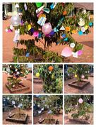 അക്ഷരമരം