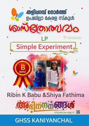 2025 Science fair12.jpeg