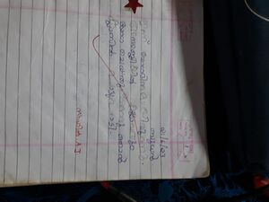 24632-TSR-sahil a j.jpg