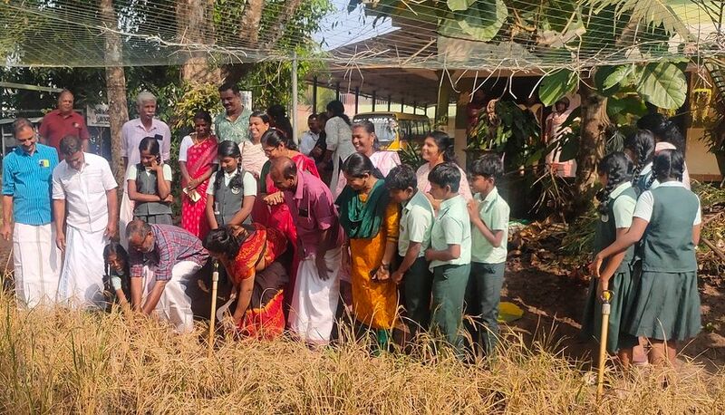 പ്രമാണം:34013seed krishi25b.jpg