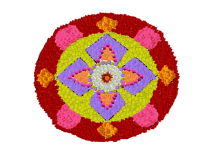 36064 alp dp 2019 3.png