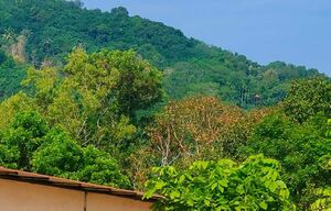 42039 entegramam.jpg