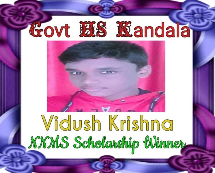 പ്രമാണം:44028 NMMS Winner.jpeg