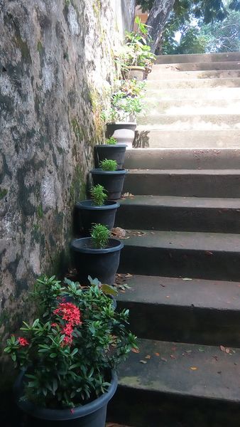 പ്രമാണം:44050 593.jpg