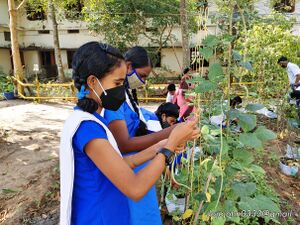 Adukkalathottam 35052 22 (7).jpg