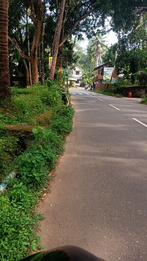 കൂത്താളി