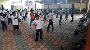 KARATTE PRACTISINGIMG20180720114259.jpg