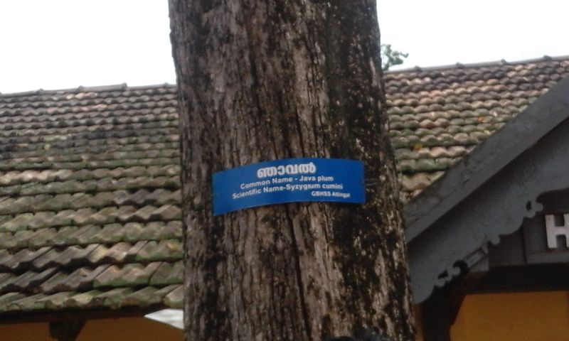 പ്രമാണം:Naming 16.jpg