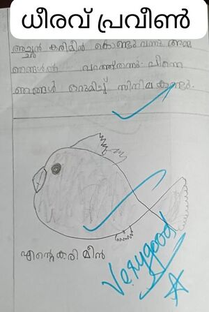 15373-WYD-KUNJ-Dheerav praveen.jpeg