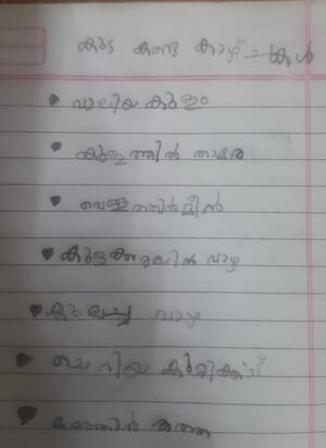 18528-MLP-KUNJ-Hyza v.jpeg