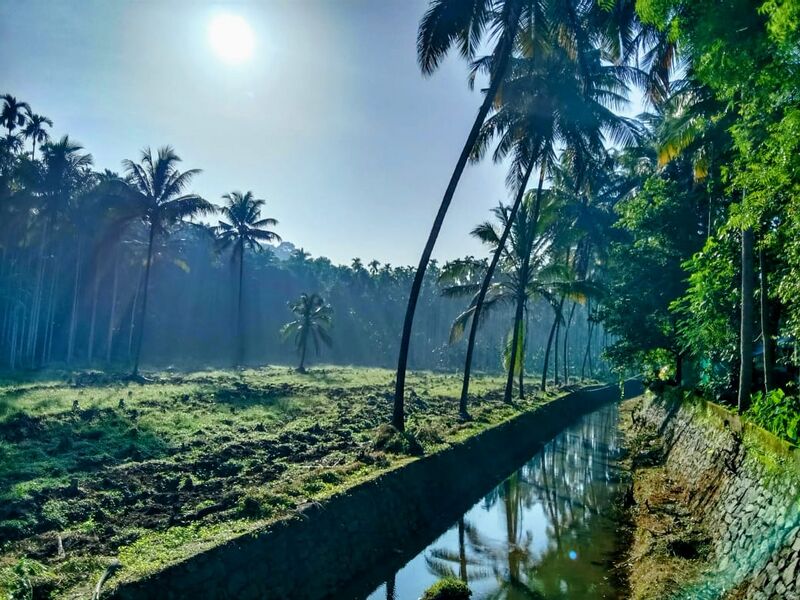 പ്രമാണം:18586 pndlr..sc.jpeg