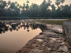 24001 chandra pushkarani pond.jpg