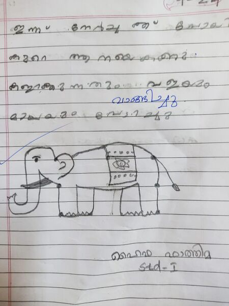 പ്രമാണം:24215-TSR-KUNJ-HAIFA FATHIMA.jpg