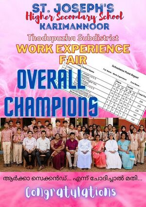 29005-WORK EXPERIENCE.jpg