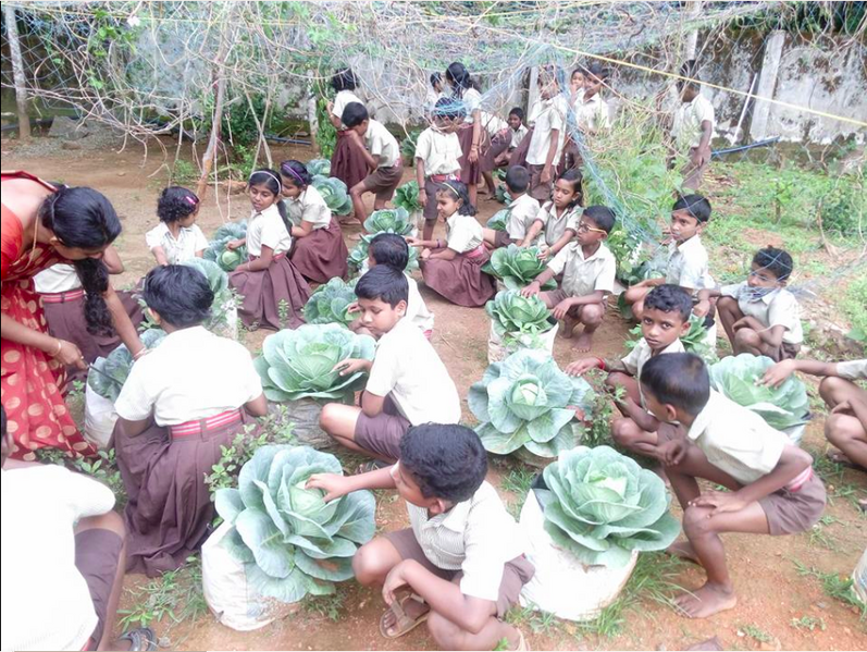 പ്രമാണം:31207 46.png