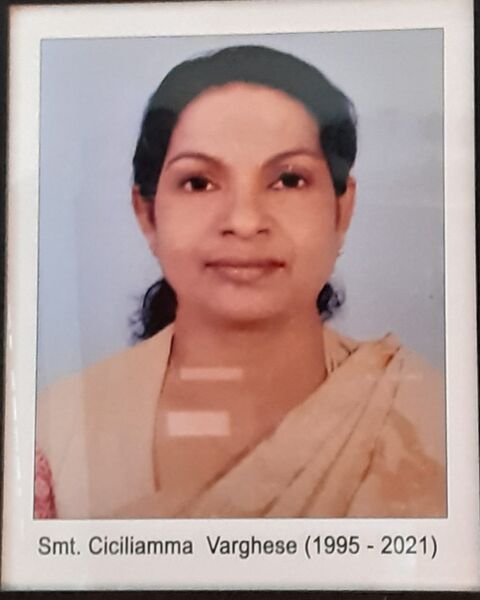 പ്രമാണം:34046 T9.jpeg