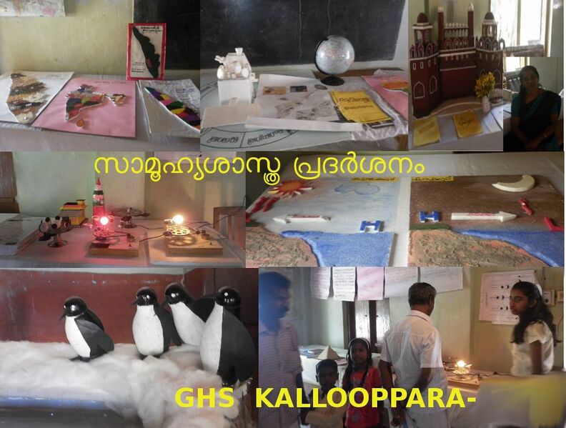 പ്രമാണം:37019 nirav3.jpg