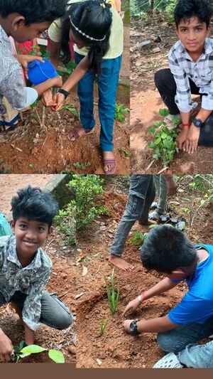 42661 environment day 25.jpg