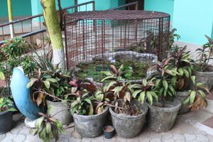 44050 22 15 a13.jpeg