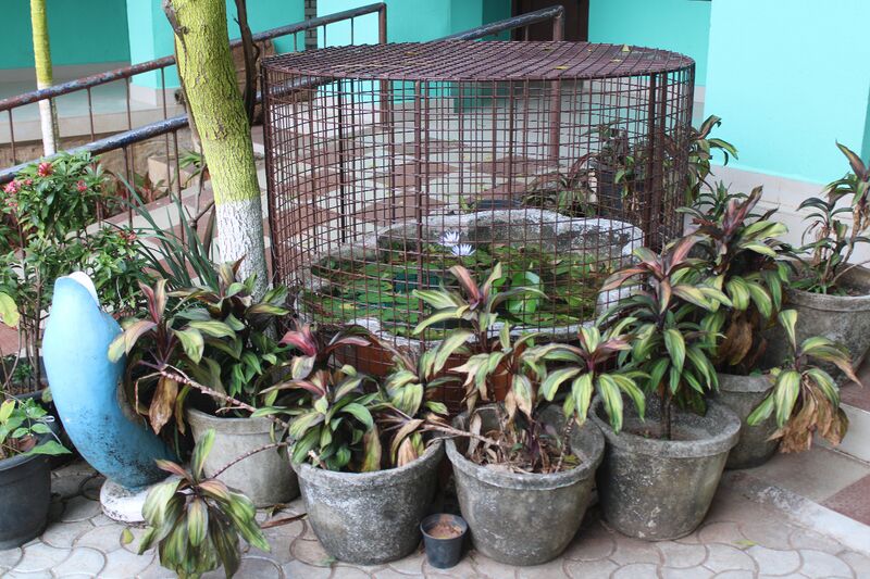 പ്രമാണം:44050 22 15 a13.jpeg