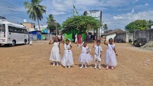 44223 shishu pro 3.jpg