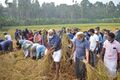 16:51, 20 ഫെബ്രുവരി 2022-ലെ പതിപ്പിന്റെ ലഘുചിത്രം