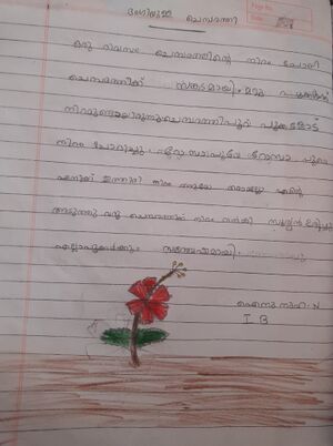 48560-MLP-KUNJ-AINUNUHA .jpg