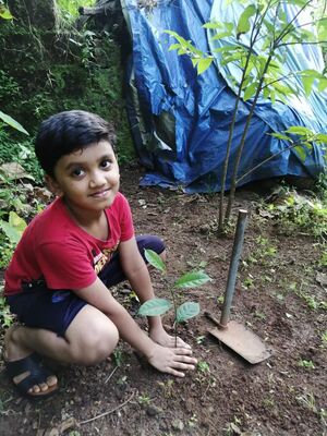 BS21 KGD 12417 17.jpeg