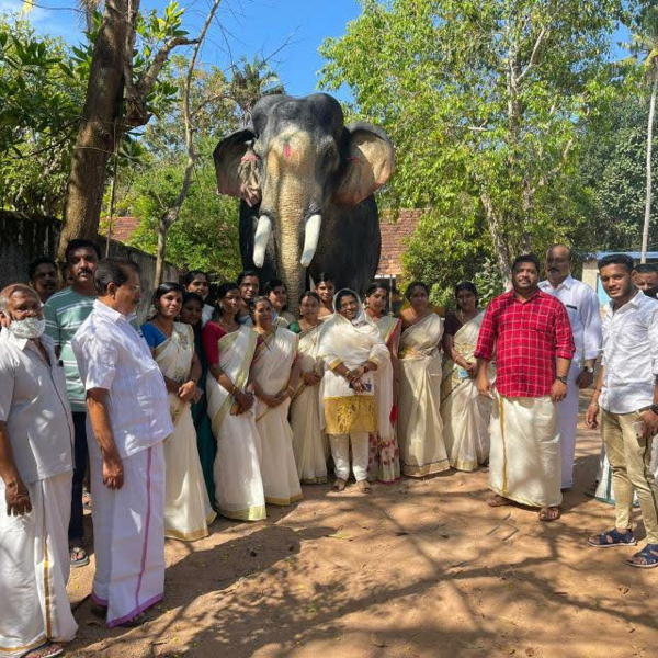പ്രമാണം:Elephant (Statue).png