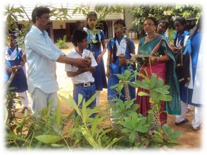 Environmentday 16 35052.jpg