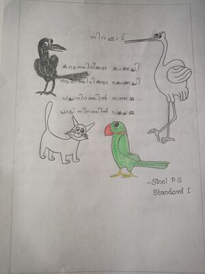 IMG 20240304 113600.jpg