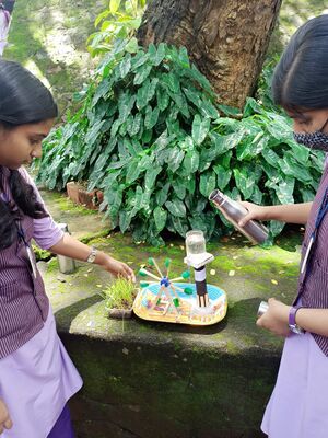 Social mela 20021.jpeg