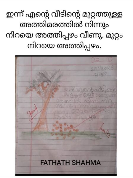 പ്രമാണം:11041-kgd-kunj-fathimashahama.jpeg