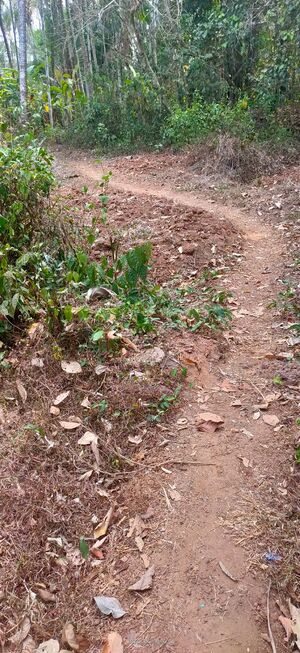 13364-on the way to school.jpeg