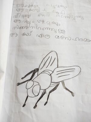 14312-KNR-KUNJ-FATHIMA NAZRIA.jpg