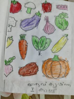 15241-WYD-KUNJ-YADAV KRISHNA..jpg