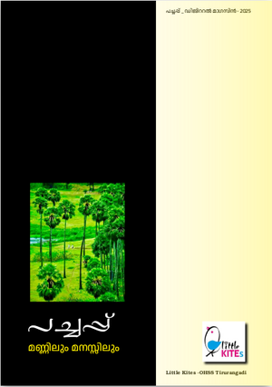 19009-mlp-dm 2025-1.png