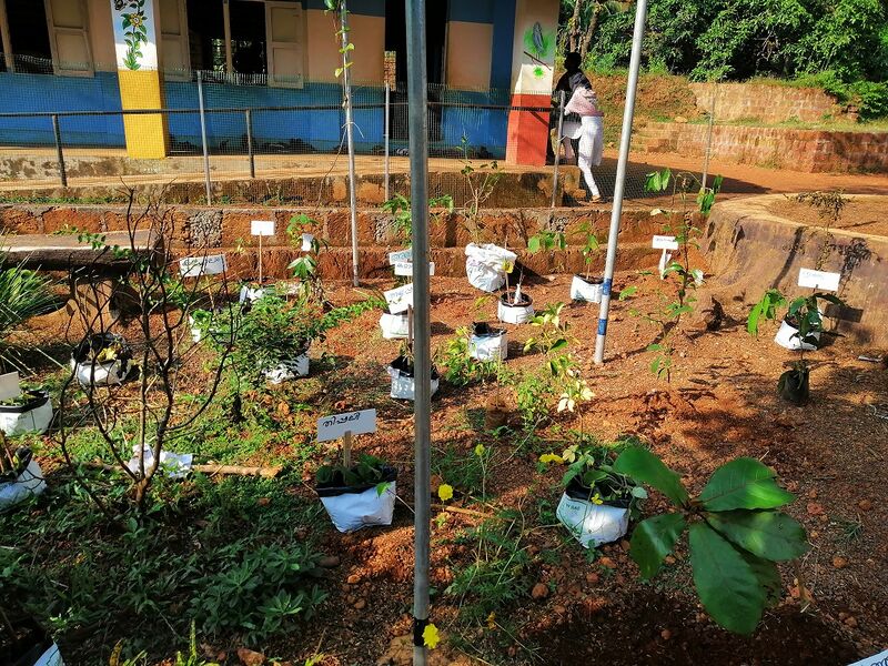 പ്രമാണം:19852-0034 (1).jpg