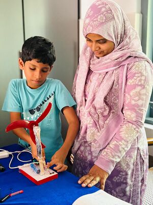 28602-Little spark master.jpg