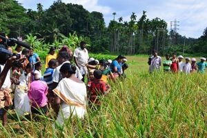 29312 koithulsavam9.jpeg