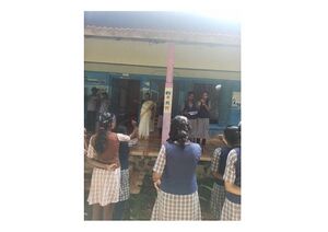 33081 p-2.rotated.jpg