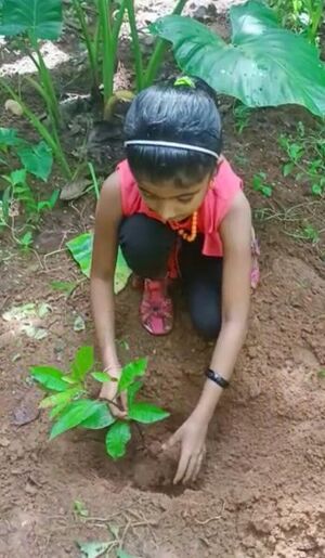 42205 environmentday.jpeg