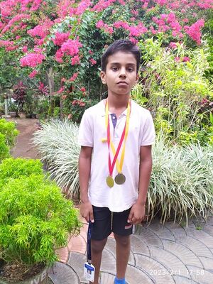 42564 sports.resized.jpg