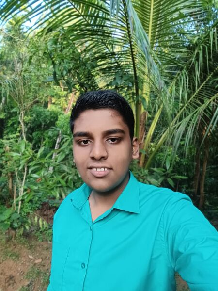 പ്രമാണം:44029 2341.jpeg