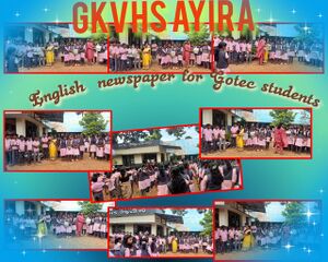 44044 TVM GOTEC2.jpg