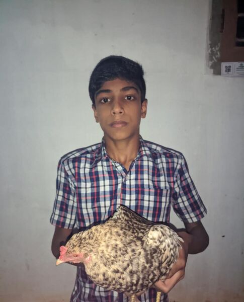 പ്രമാണം:47089 chiken.jpeg