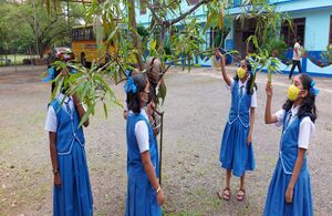 BS21 EKM 26015 3.jpg