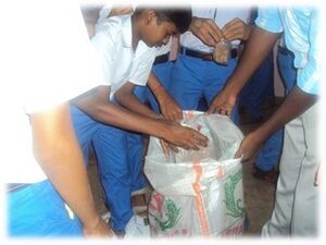 Pidiyari 35052 16 (1).jpg